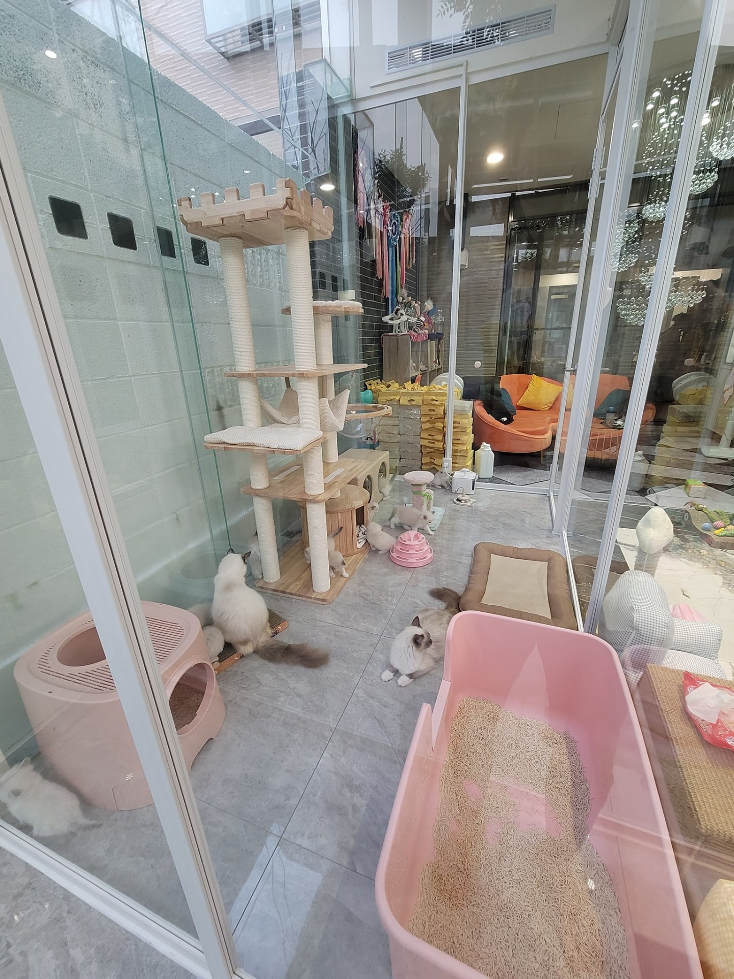 寶寶、媽媽歡樂房
